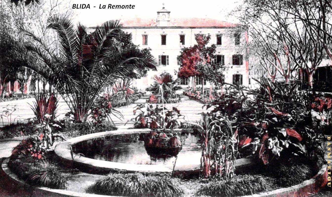Blida - Remonte.jpg